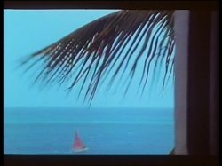 Captura de 'Hot Nights In The Caribbean' nº 33