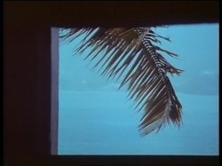 Captura de 'Hot Nights In The Caribbean' nº 34