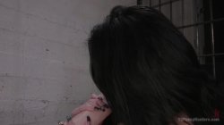 Captura de 'TS Pussy Hunters - Street Walker Is Give A Break By A Hot TS Officer' nº 129
