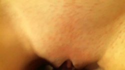 'Cream Pie 82' screenshot nº 131