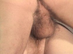 Captura de 'Lisa De Leeuw's Porn Players' nº 32