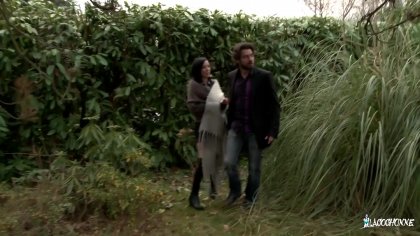 Scene 5