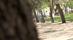 Captura de 'Pantyhose Creep Reel 14' nº 57