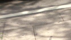 Captura de 'Pantyhose Creep Reel 14' nº 62