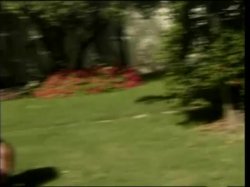 Captura de 'White Panty Chronicles 16' nº 64