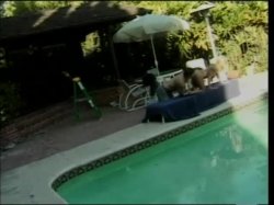 Captura de 'White Panty Chronicles 16' nº 33