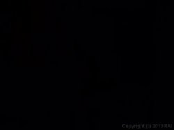 'Porn Star Station 5' screenshot nº 135