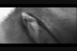 'Beatin' Around the Bush 2' screenshot nº 16