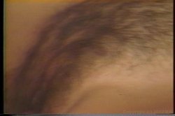 Captura de 'Golden Age of Porn, The: Christy Canyon 2' nº 28