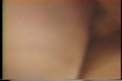 Captura de 'Golden Age of Porn, The: Christy Canyon 2' nº 29