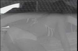 'Ass Watcher 4' screenshot nº 90