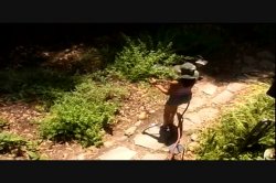 Captura de 'Female Gardener' nº 6