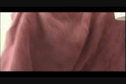 'Big Juicy White Asses 2' screenshot nº 59