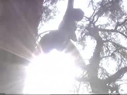 'Marilyn Chambers' Sex And Sports' screenshot nº 40