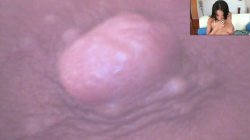 'Busty Anal Sluts' screenshot nº 123