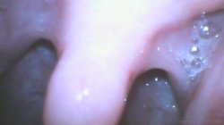 'Busty Anal Sluts' screenshot nº 124