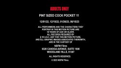 'Pint Sized Cock Pocket #11' screenshot nº 1