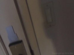'Homegrown Video 849' screenshot nº 29