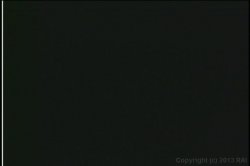 'Busty Black Cum Queens' screenshot nº 117