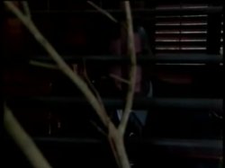 'Blue Dreams' screenshot nº 17
