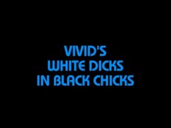 Captura de 'Vivid's White Dicks In Black Chicks' nº 1