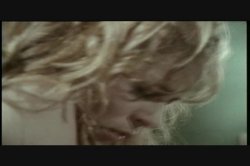 'Boffo Rocco' screenshot nº 78
