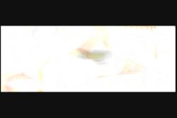 Captura de 'Asian Flower' nº 1