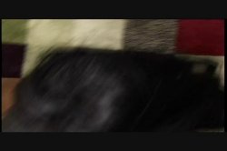 Captura de 'America's Next Ghetto Superstar' nº 58