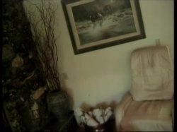 Captura de 'Asses In The Air 2' nº 21