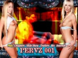 Captura de 'Pervz 001 - 'The D.P. Orgy'' nº 131