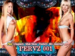 Captura de 'Pervz 001 - 'The D.P. Orgy'' nº 132