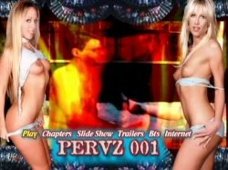 Captura de 'Pervz 001 - 'The D.P. Orgy'' nº 134