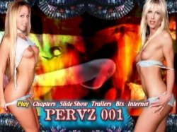 Captura de 'Pervz 001 - 'The D.P. Orgy'' nº 136