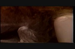 'Splatterhouse #22' screenshot nº 63