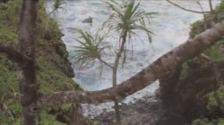 Captura de 'Teradise Island 2' nº 99