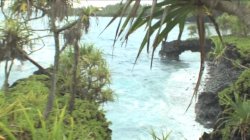 Captura de 'Teradise Island 2' nº 102