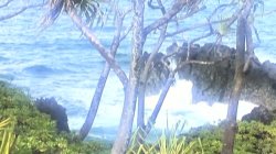 Captura de 'Teradise Island 2' nº 1