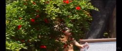Captura de 'Body Builders In Heat 27' nº 110