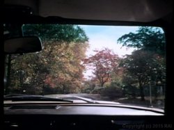 Captura de 'Opening of Misty Beethoven' nº 88