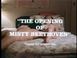 Captura de 'Opening of Misty Beethoven' nº 1