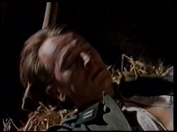 'Splatterhouse #24' screenshot nº 39
