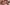 streaming porn video screenshot