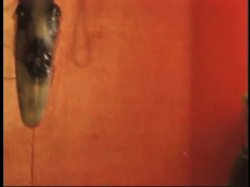'Anal Asylum' screenshot nº 69