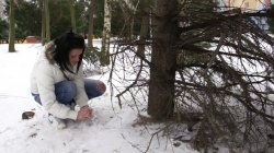 Captura de 'Snow Teens 6' nº 91