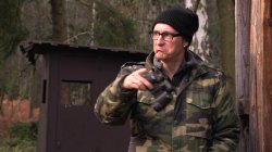 'Vogel(n) im Wald #2' screenshot nº 36