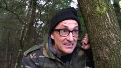 'Vogel(n) im Wald #2' screenshot nº 37