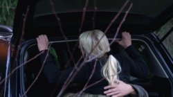 'Vogel(n) im Wald #2' screenshot nº 65