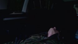 'Vogel(n) im Wald #2' screenshot nº 69