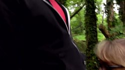 'Vogel(n) im Wald #2' screenshot nº 113