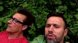 'Vogel(n) im Wald #2' screenshot nº 119